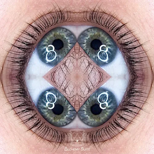 6 - Roots Hair Company