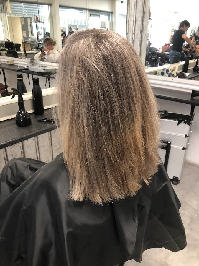 1 - Royal beauty palace