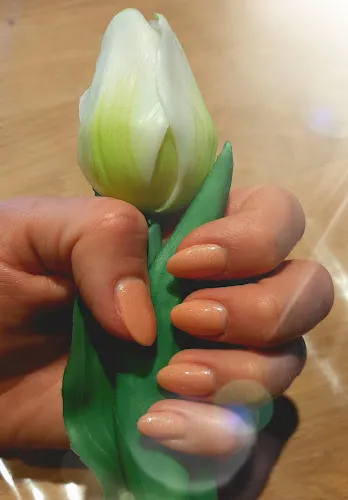 3 - Salon Aykut & Ahmet