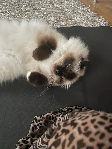 2 - Salon Berit - Frisør Odense