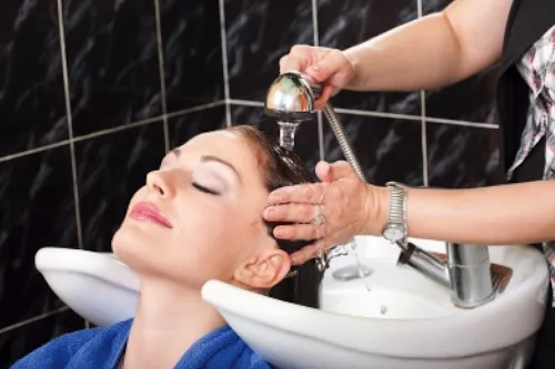 1 - Salon Newyorker Style