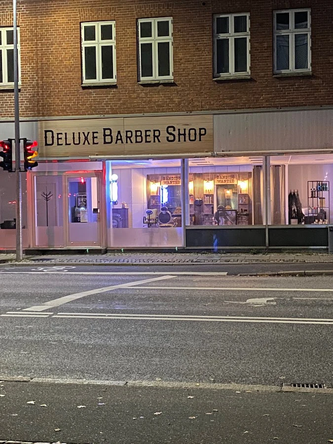 1 - Salon Saxen v/Pia Lerche