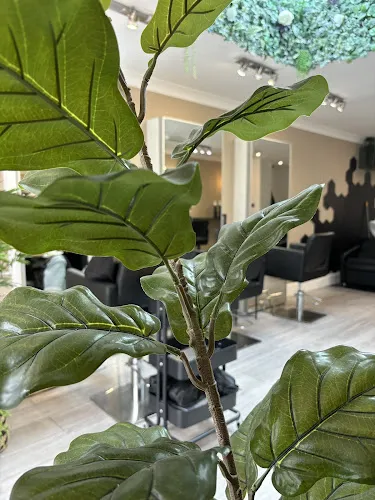 1 - Salon Twenty Seven