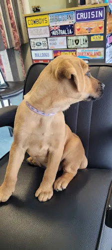 7 - Sams Barber Shop