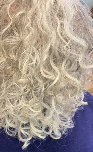 5 - Sapphire Hair by Bentleys