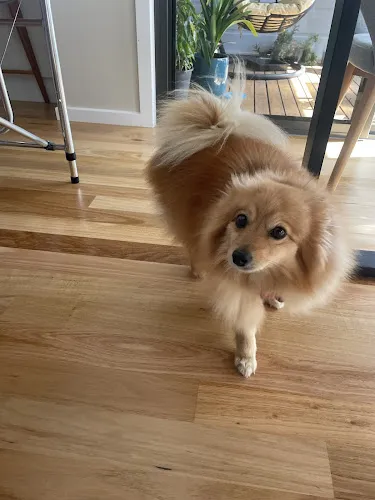 6 - Sapphire Hair by Bentleys