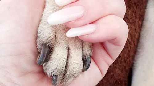 3 - Schon Schön Beauty Bar