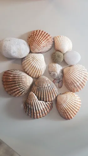 8 - Schoonheidssalon Alcantara