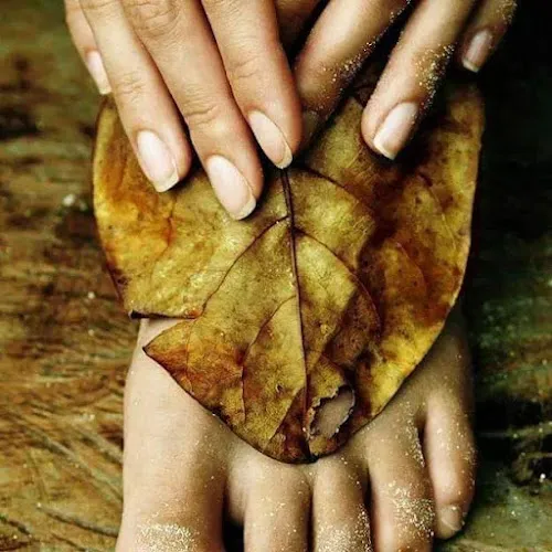 4 - Schoonheidssalon Alcantara