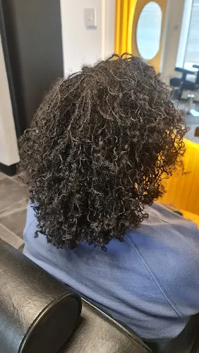 7 - Shear Perfection