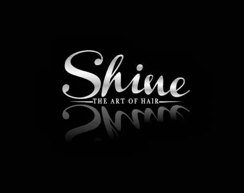 3 - Shine - The Art Of Hair