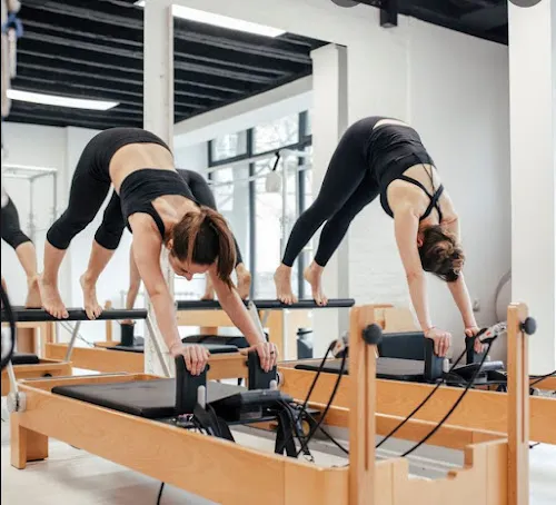 5 - Short Bark N Sides Pet Boutique