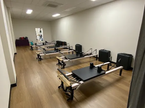 3 - Short Bark N Sides Pet Boutique