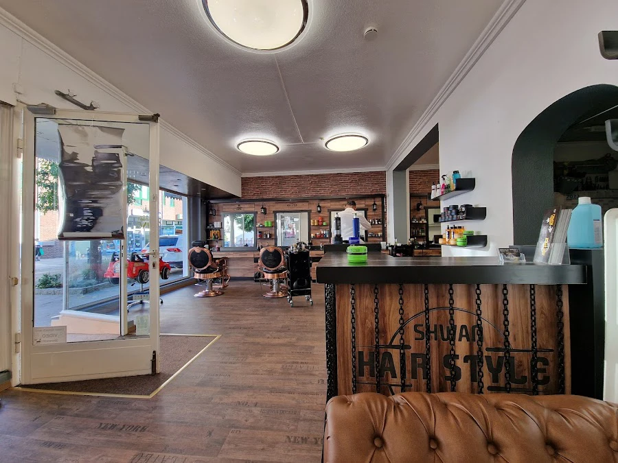 1 - Shwan Hair Style