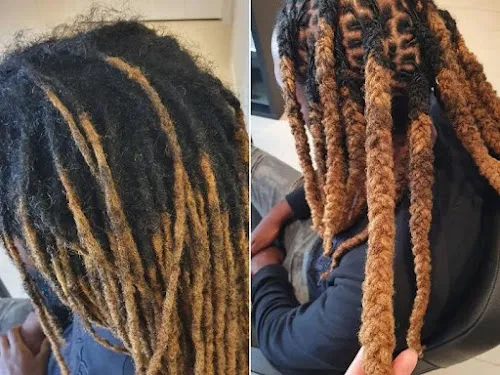 3 - Solstice Locs