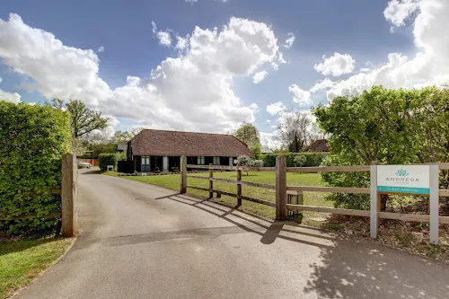 3 - İstanbul turkish barber Baughurst