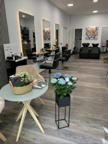 3 - Steinbach Hair Styling