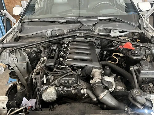 2 - Streichfuß Bernd