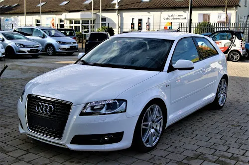 4 - Taissir Badr Beauty-Car