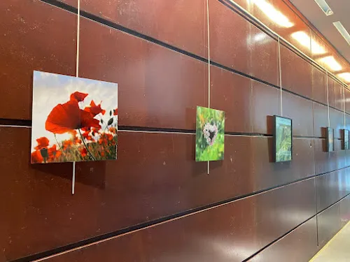 3 - Terrades Gilbert