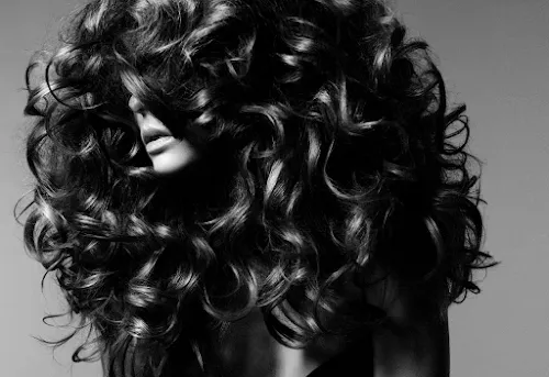 2 - The Bay Hair Studio