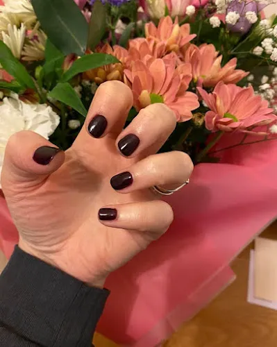 3 - The Beauty Studio