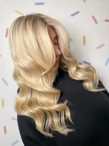 2 - The Constance Experience