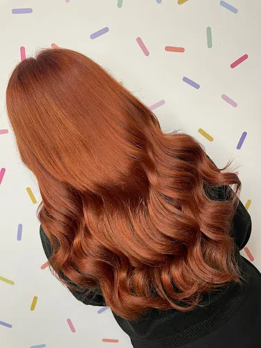 4 - The Constance Experience