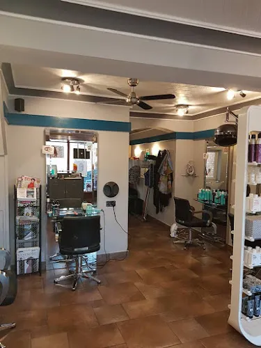2 - The Crazy Hair Salon