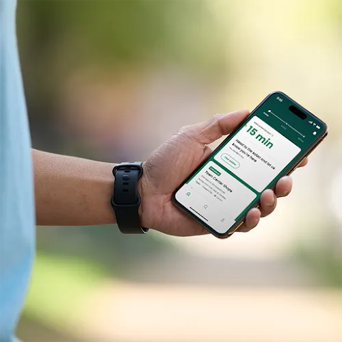 3 - The Cutting Room