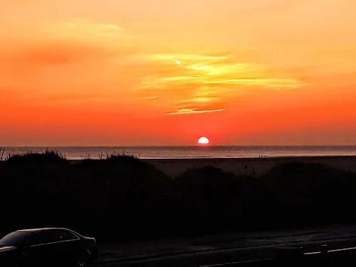 1 - The Fat Cat Club