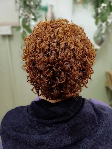 3 - The Hair Hub & co