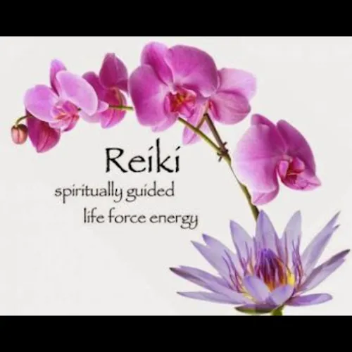 2 - The Hairport Baughurst