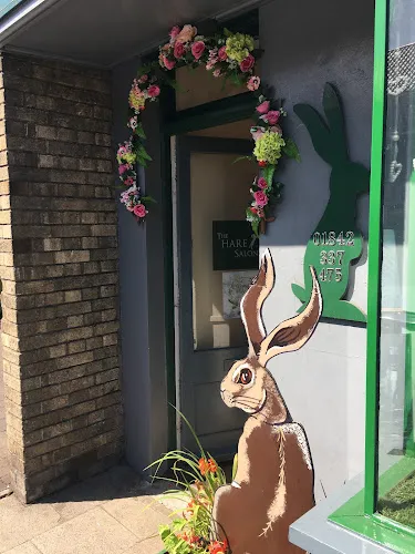 2 - The Hare Salon