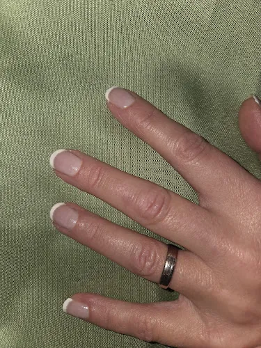 8 - The Mutts Barbershop Dog Groomer