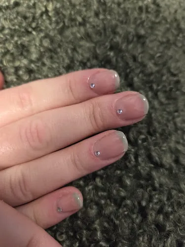 7 - The Mutts Barbershop Dog Groomer