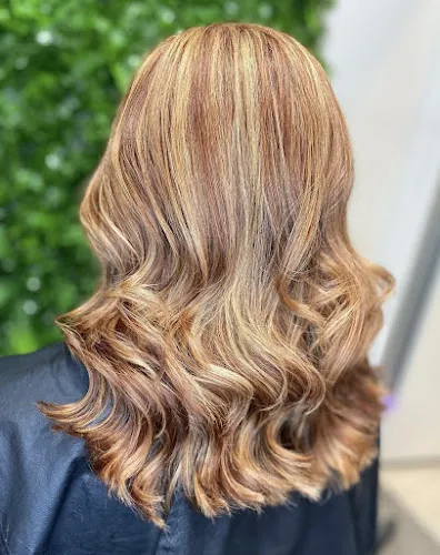 2 - The Velvet Hair Lounge