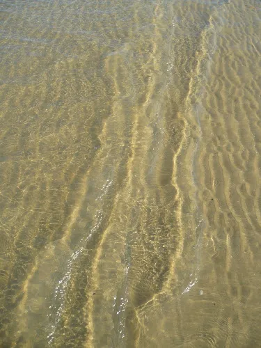 6 - Thomas Schroerschwarz