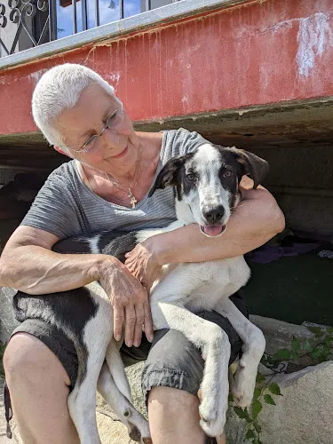 2 - Tierarzt Dr Chr. und F. Wiesenecker Tierärzte