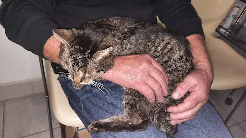 2 - Tierarztpraxis Dr. Ruhe & Dr. Steinbrück - Dietzenbach-Mitte