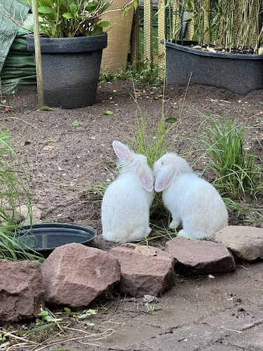 3 - Tierarztpraxis Dr. Ruhe & Dr. Steinbrück - Dietzenbach-Mitte