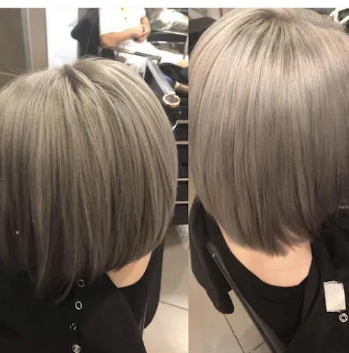 2 - Tip Top Cuts & Colours