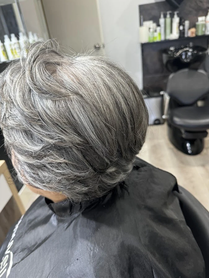 1 - Tip Top Cuts & Colours