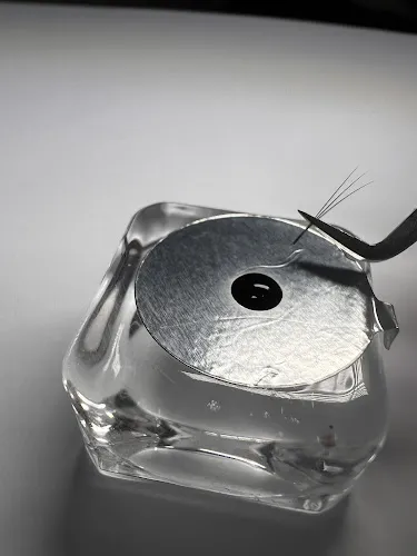 2 - Transform & Partners s.r.o.