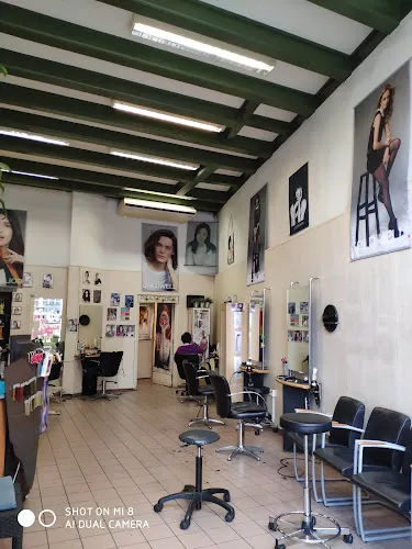 1 - Trendy Designers