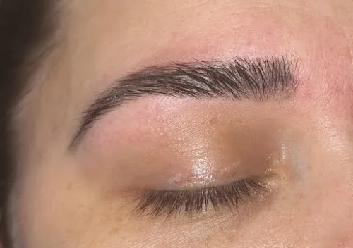 4 - Tropical Palms Group