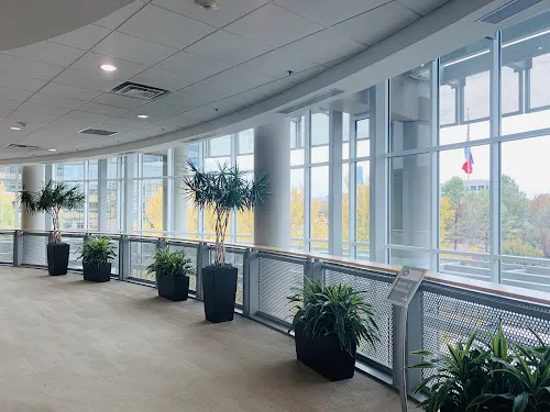 4 - Tuan Alex Nguyen, M. D.