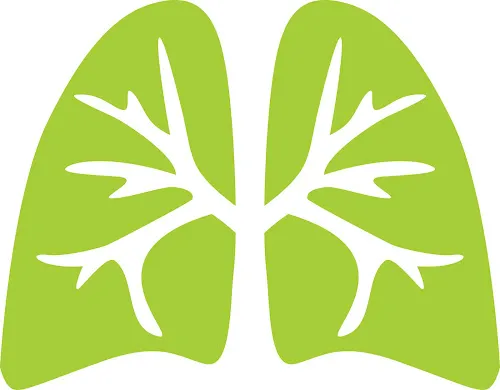 2 - Urologische Gemeinschaftspraxis Johanna Theresa Wasserscheid und Prof. Dr. med. Jens-Uwe Stolzenburg