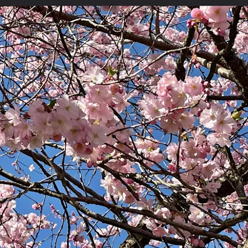 4 - Villastadens frisersalong