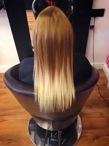 2 - Wayne Jones Hair Studio